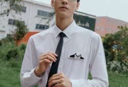 龚俊张先生最新爆料,揭秘娱乐圈不为人知的秘密