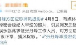 卓伟爆料大瓜视频大全最新,大瓜视频大全，娱乐圈风云再起