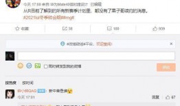 关于百分百最新爆料,揭秘神秘事件背后的真相
