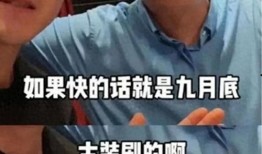 卓伟爆料大瓜视频大全最新,大瓜视频大全，娱乐圈风云再起