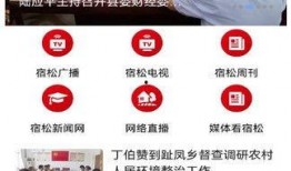 宿松新闻爆料最新,突发！最新爆料揭示惊人真相，敬请关注！